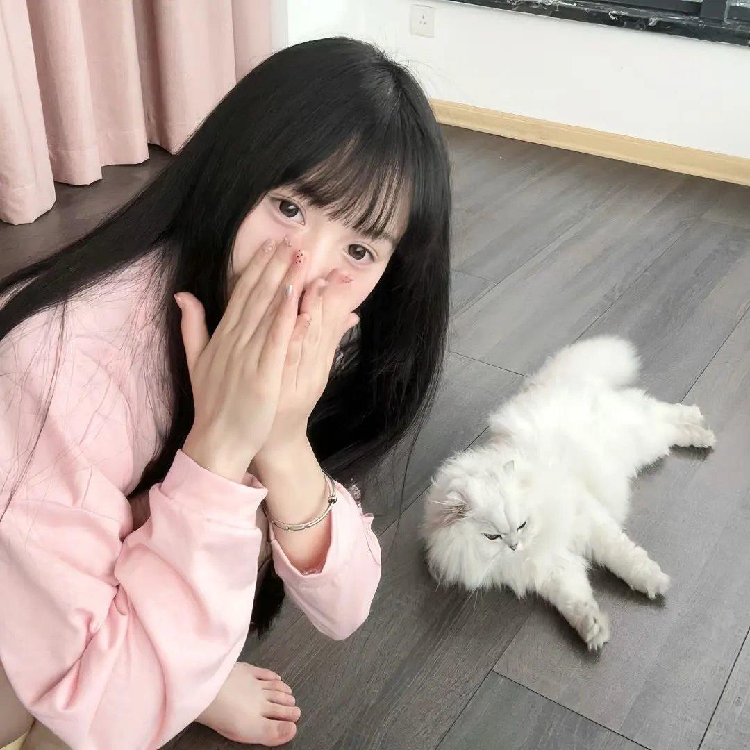 狗假死之物