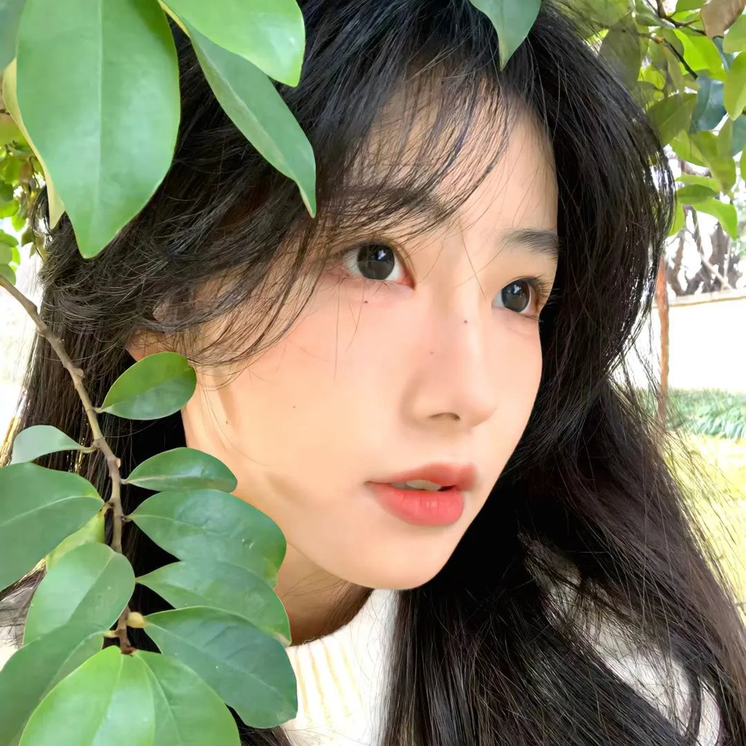 沉眠之虎